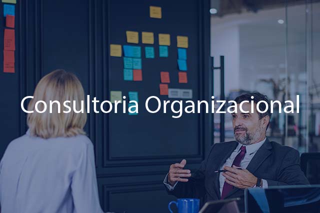 consultoria organizacional